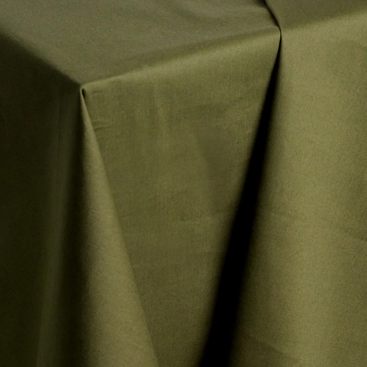 Tissu toile déperlante - Atelier Brunette® - Ivy Green - Image 3