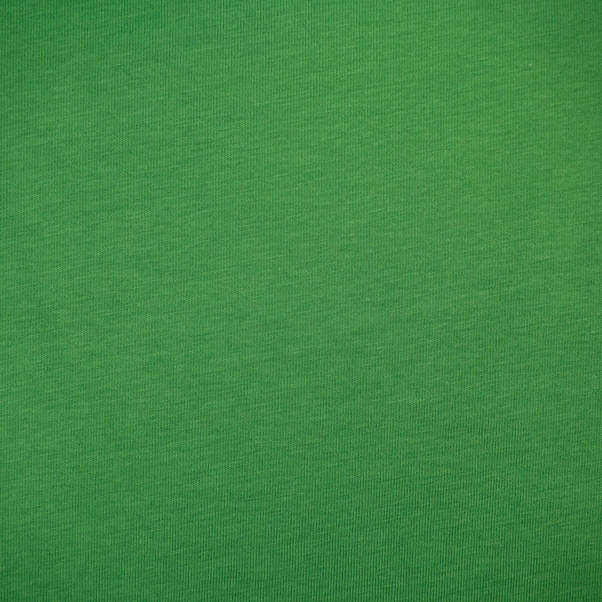 Jersey stretch - Vert prairie - Image 3